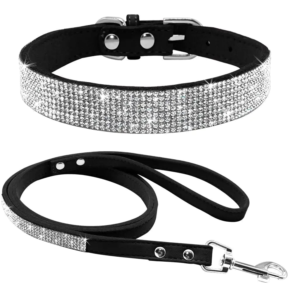 Pet+ presents Exclusive Leather Collar & Leash Combo | Pet Accessories | Pet Fashion