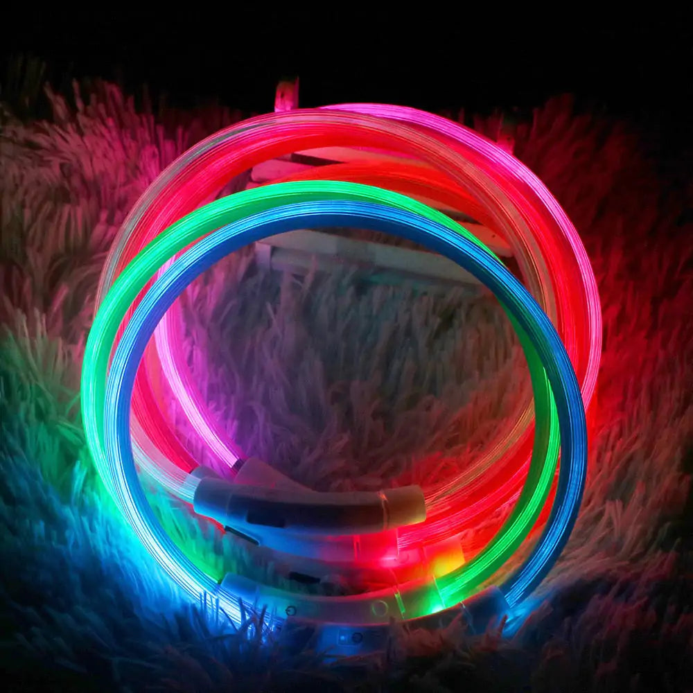 Pet+ presents LED Dog Collars | Pet Accessories | Waterproof Dog Collar