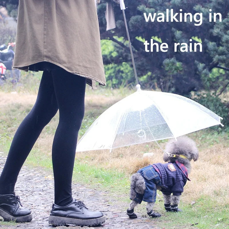Pet+ presents Pet Umbrella | Pet Accessories | Pet Fashion