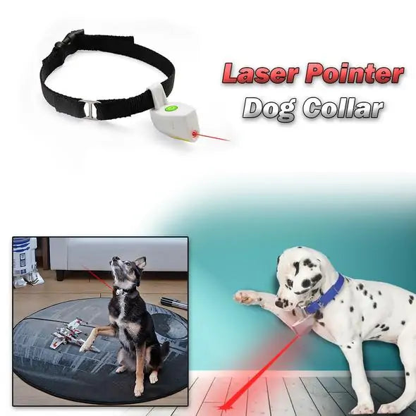 Pet+ presents Pet Collar with Laser Pointer | Pet Collars | Pet Accessories