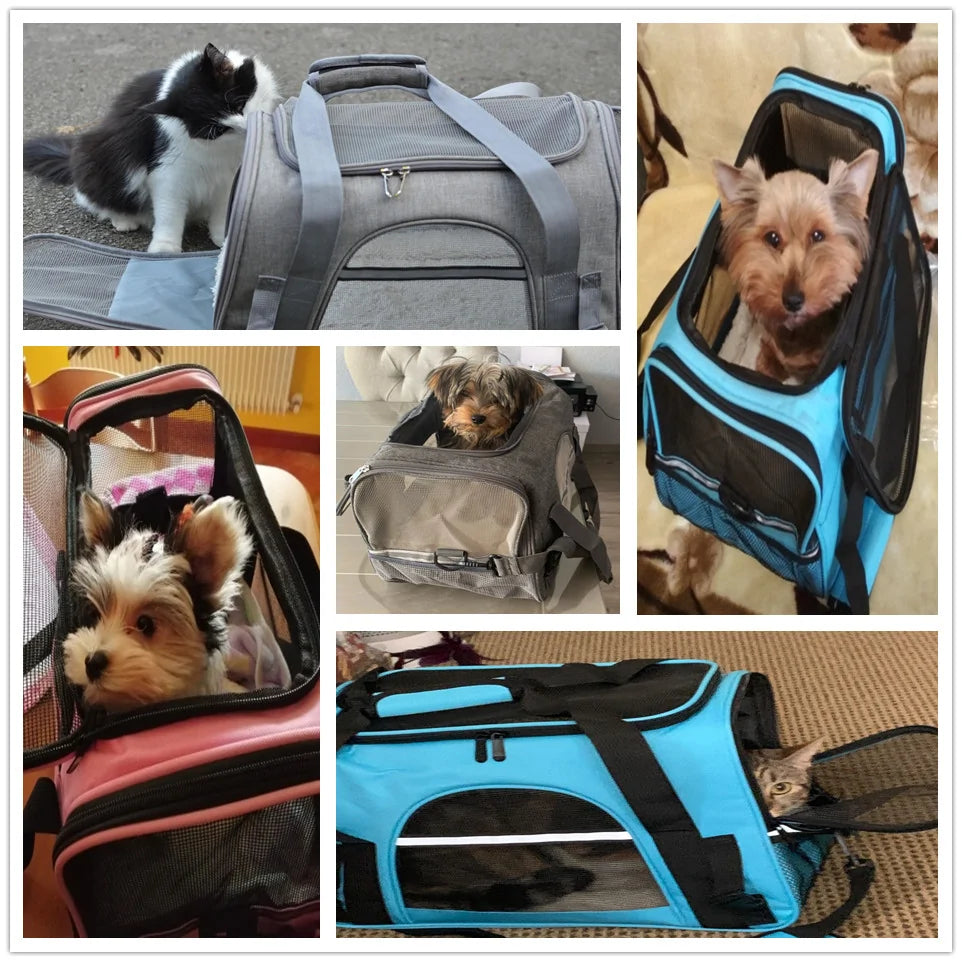 Pet+ presents Travel Carry Bag | Pet Accessories | Pet Supplies | Pet Travel