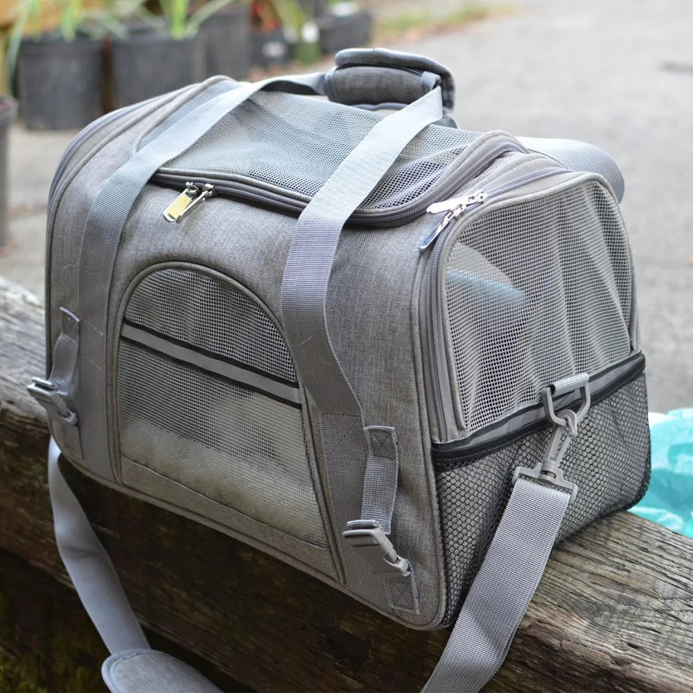 Pet+ presents Travel Carry Bag | Pet Accessories | Pet Supplies | Pet Travel
