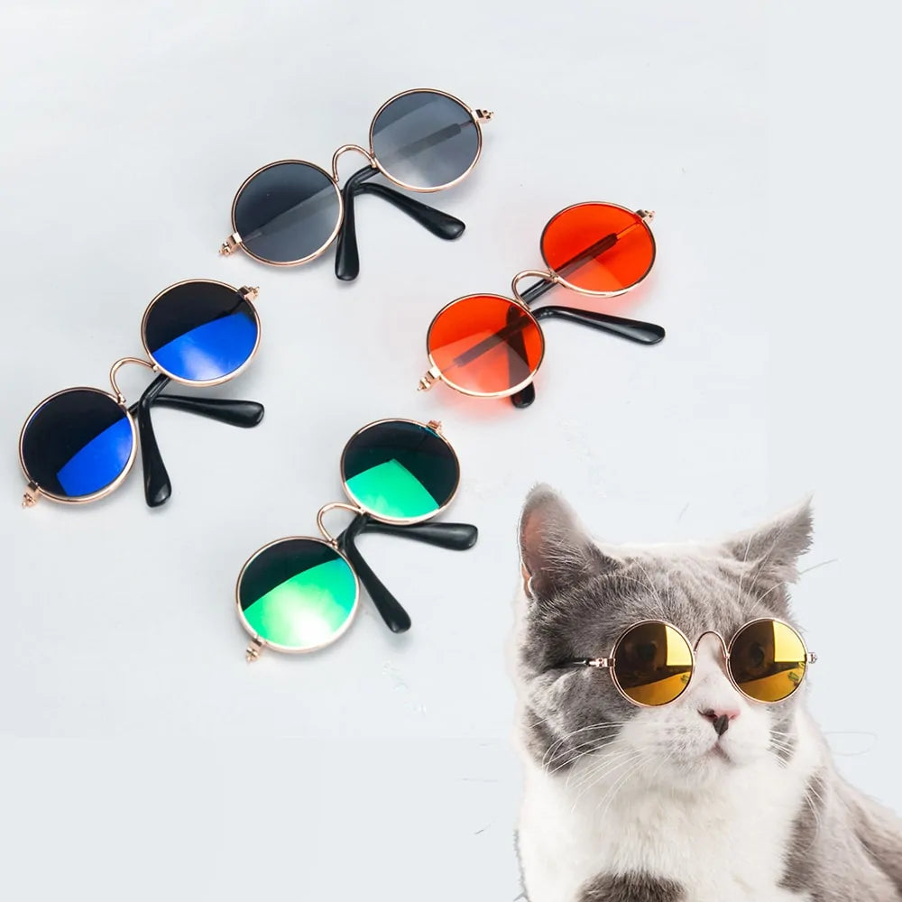Pet+ presents Cat Sunglasses | Pet Accessories | Pet Fashion | Cat Fashion