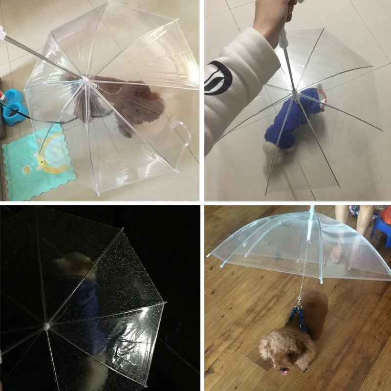 Pet+ presents Pet Umbrella | Pet Accessories | Pet Fashion