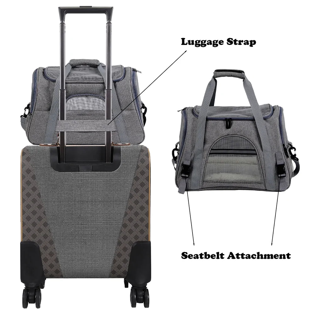 Pet+ presents Travel Carry Bag | Pet Accessories | Pet Supplies | Pet Travel