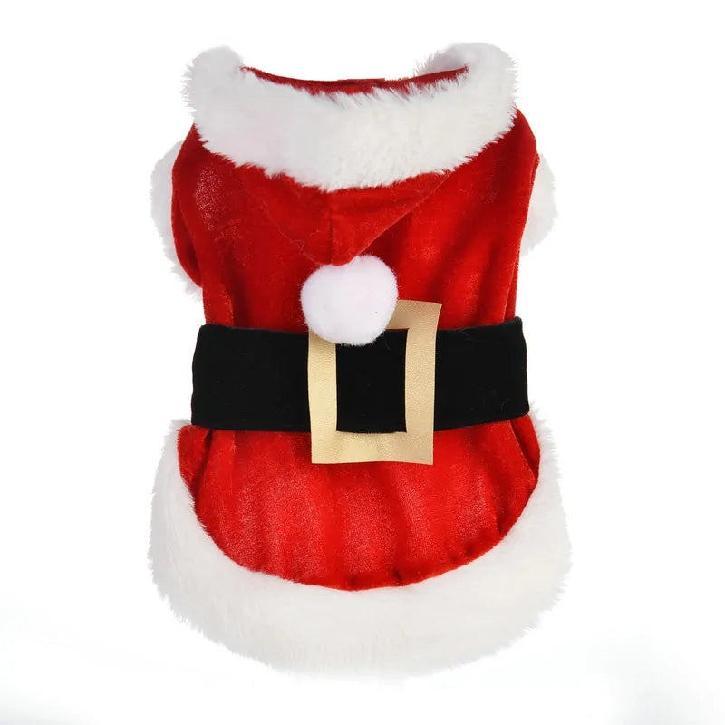 Pet+ presents Santa Pet Outfit | Pet Apparel | Pet Fashion | Pet Clothing
