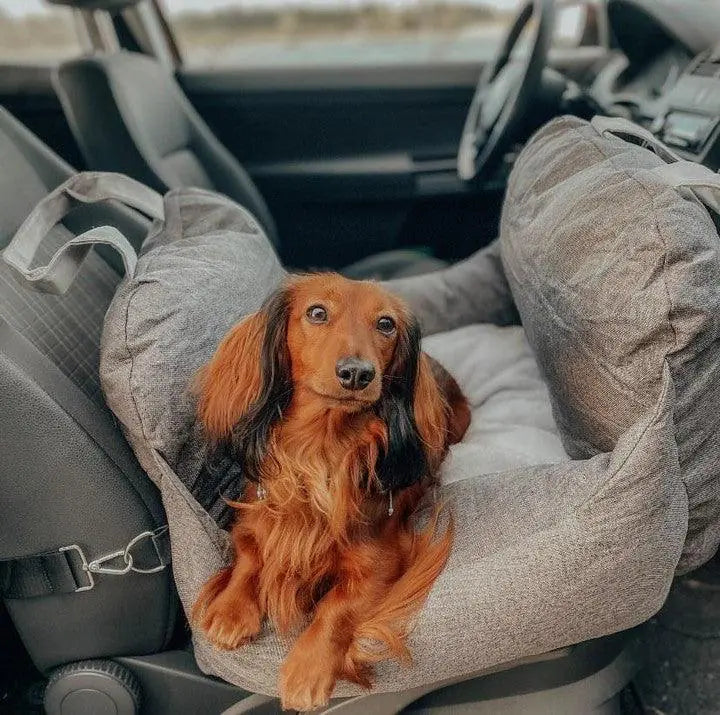 Pet+ presents Premium Travel Bed | Pet Accessories | Pet Supplies | Pet Travel