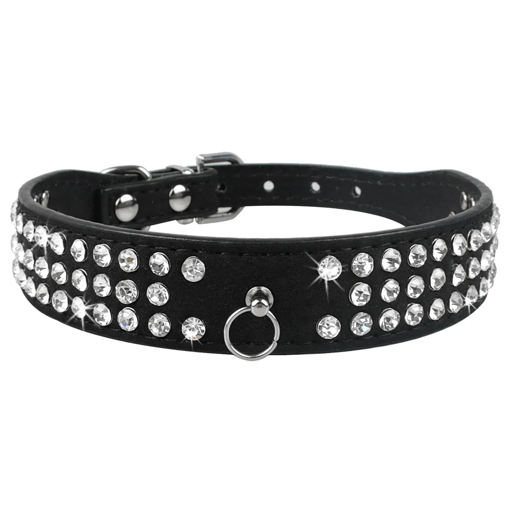Pet+ presents Leather Collars for small pets | Pet Collars | Pet Fashion
