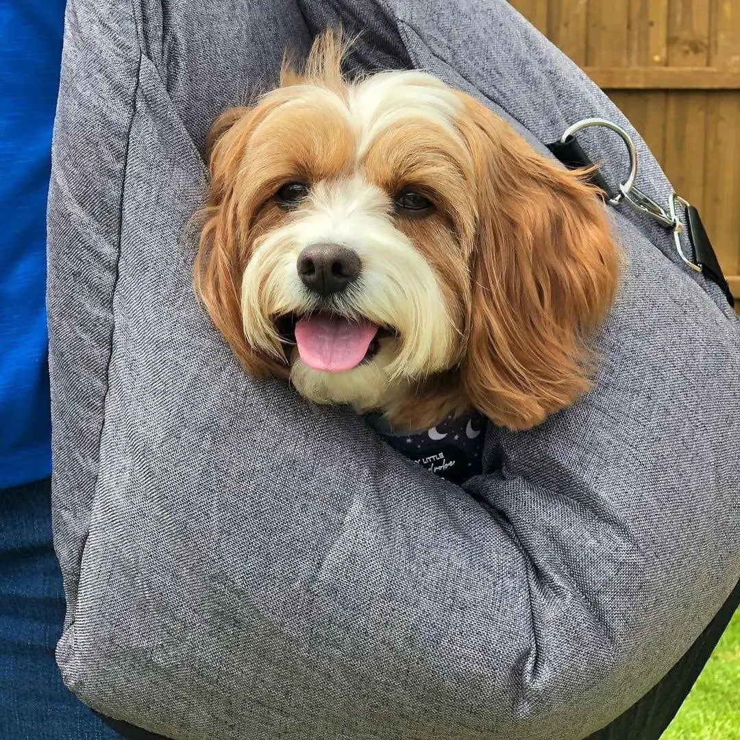 Pet+ presents Premium Travel Bed | Pet Accessories | Pet Supplies | Pet Travel