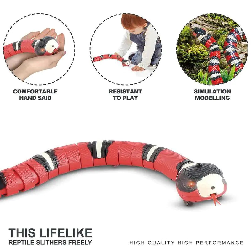 Pet+ Smart Snake | Automatic Cat Toys | Interactive Electric Smart Toys