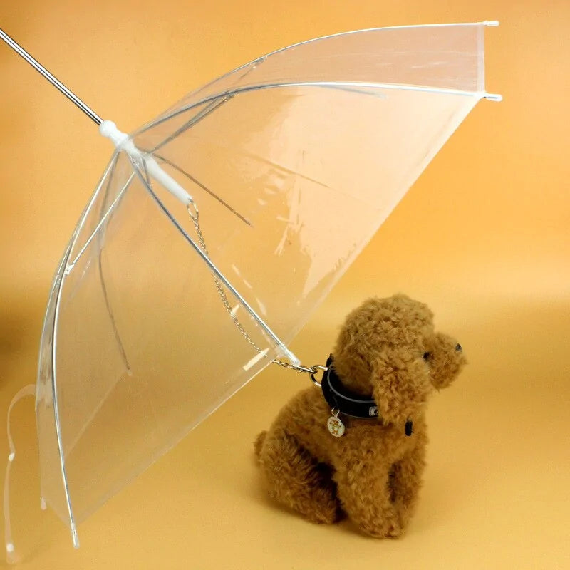 Pet+ presents Pet Umbrella | Pet Accessories | Pet Fashion