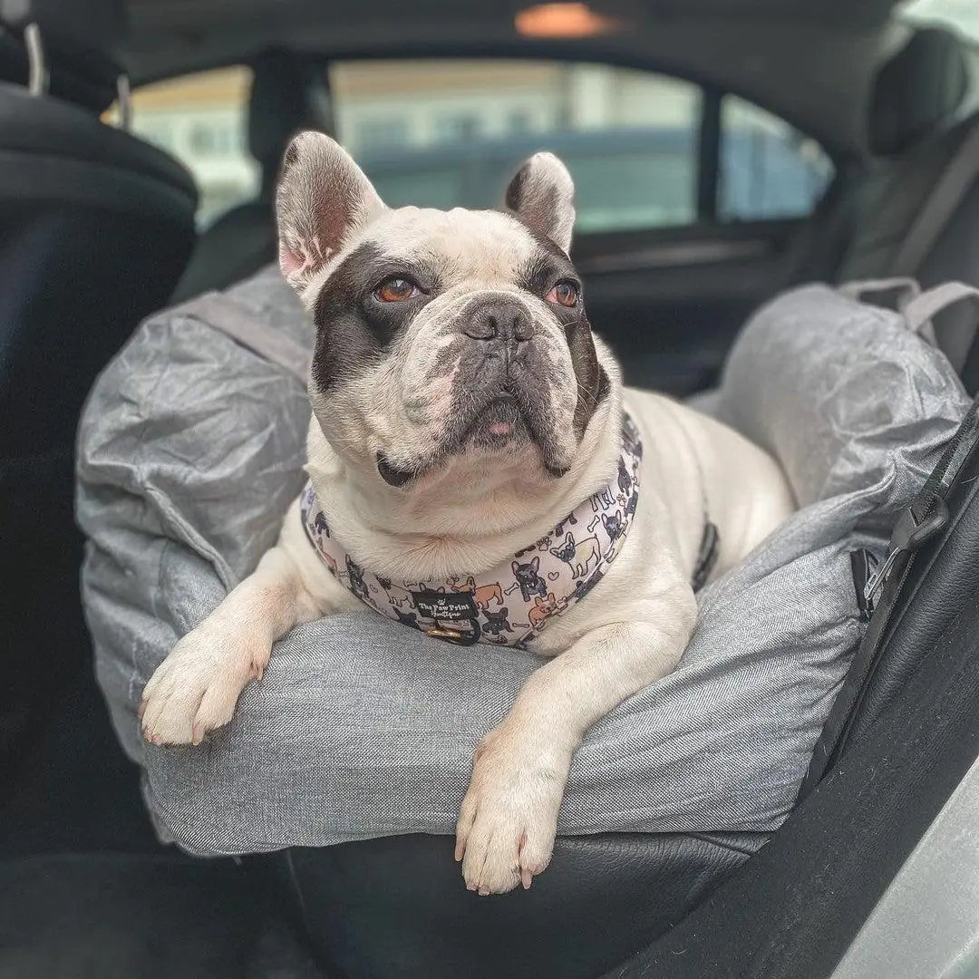 Pet+ presents Premium Travel Bed | Pet Accessories | Pet Supplies | Pet Travel
