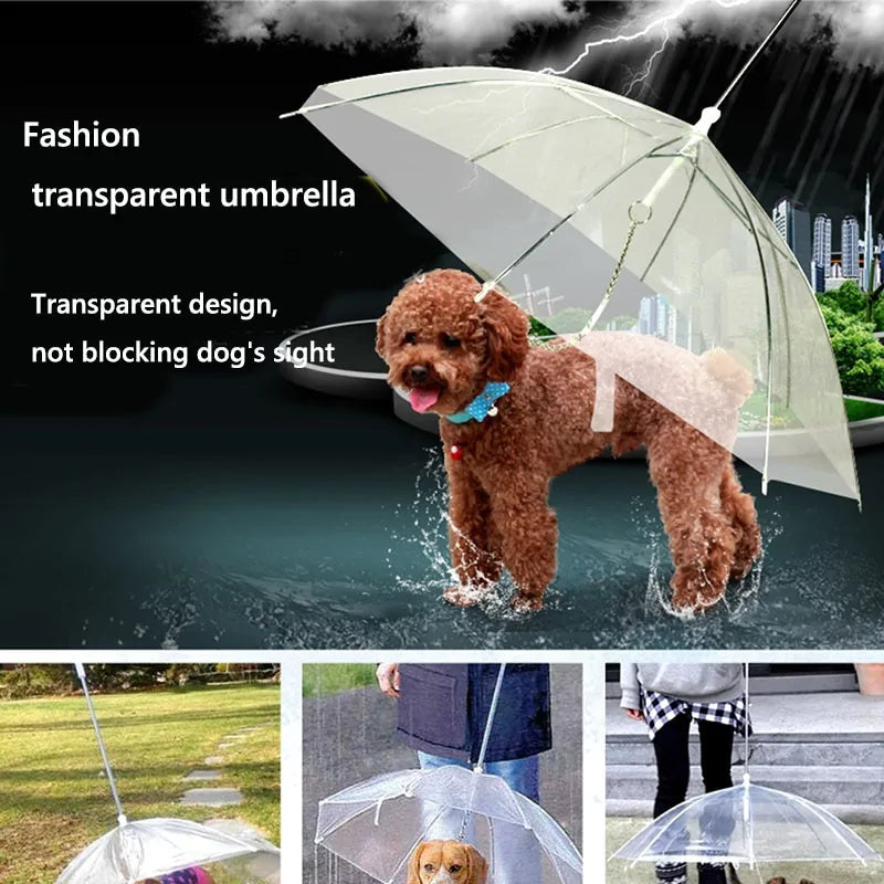 Pet+ presents Pet Umbrella | Pet Accessories | Pet Fashion