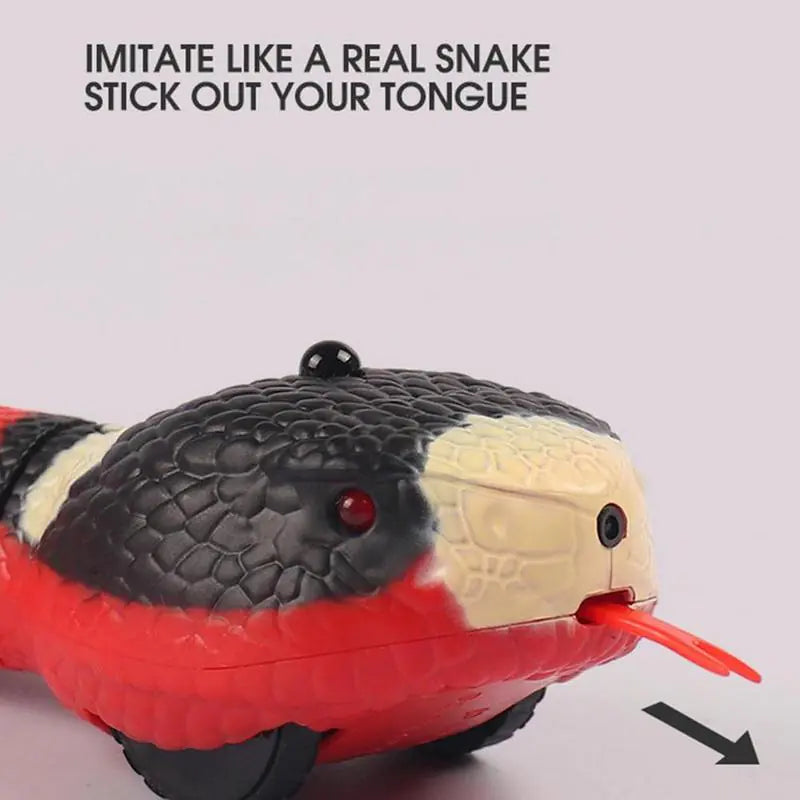 Pet+ Smart Snake | Automatic Cat Toys | Interactive Electric Smart Toys
