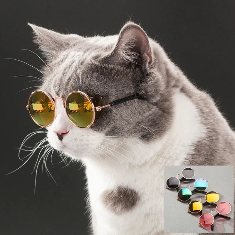 Pet+ presents Cat Sunglasses | Pet Accessories | Pet Fashion | Cat Fashion
