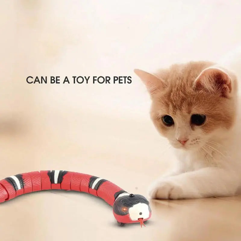 Pet+ Smart Snake | Automatic Cat Toys | Interactive Electric Smart Toys