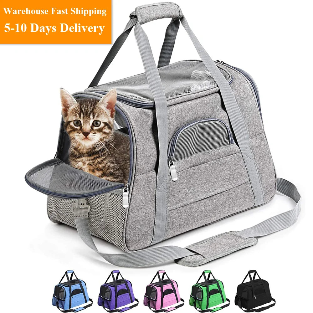 Pet+ presents Travel Carry Bag | Pet Accessories | Pet Supplies | Pet Travel