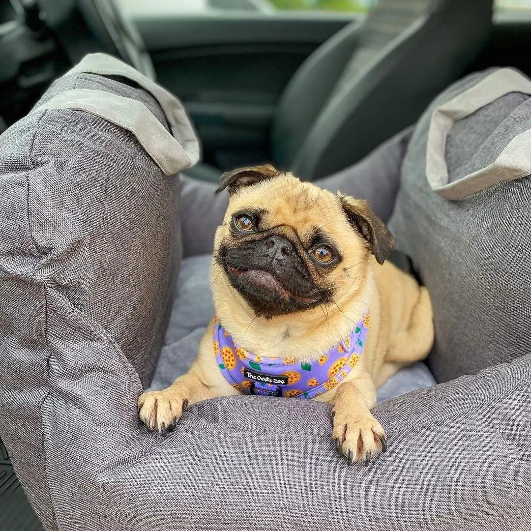Pet+ presents Premium Travel Bed | Pet Accessories | Pet Supplies | Pet Travel