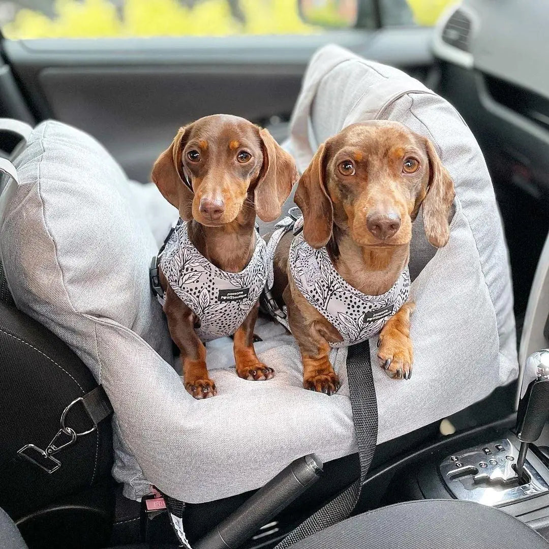 Pet+ presents Premium Travel Bed | Pet Accessories | Pet Supplies | Pet Travel