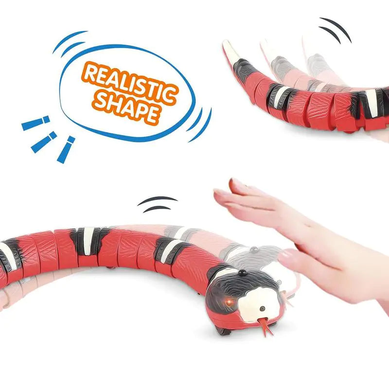 Pet+ Smart Snake | Automatic Cat Toys | Interactive Electric Smart Toys