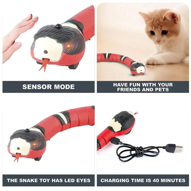 Pet+ Smart Snake | Automatic Cat Toys | Interactive Electric Smart Toys