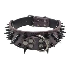 Pet+ presents Spiked Studded Leather Collars | Collars for Dogs and Cats | Pet Fashion