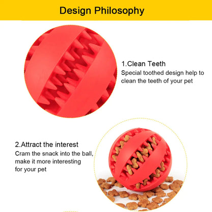 Pet+ presents Rubber Balls | Interactive Chewing Toys