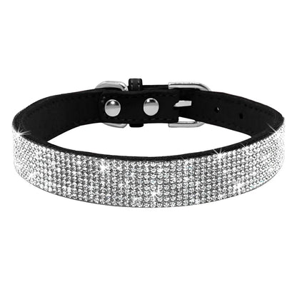 Pet+ presents Leather Collars for small pets | Pet Collars | Pet Fashion