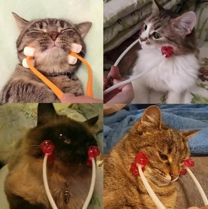 Pet+ presents Massager | Pet Well-being | Pet Accessories | Pet Supplies