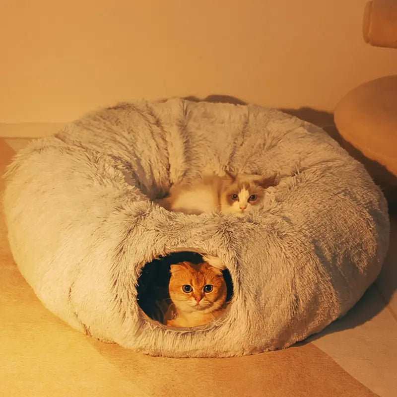 Pet+ presents 2 In 1 Cat Tunnel | Cat Bed | Multi Purpose | For Cats and Small Dogs and Pups