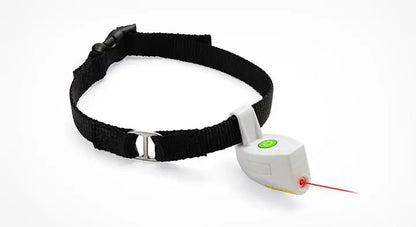 Pet+ presents Pet Collar with Laser Pointer | Pet Collars | Pet Accessories