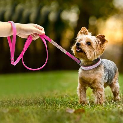 Pet+ presents Exclusive Leather Collar & Leash Combo | Pet Accessories | Pet Fashion