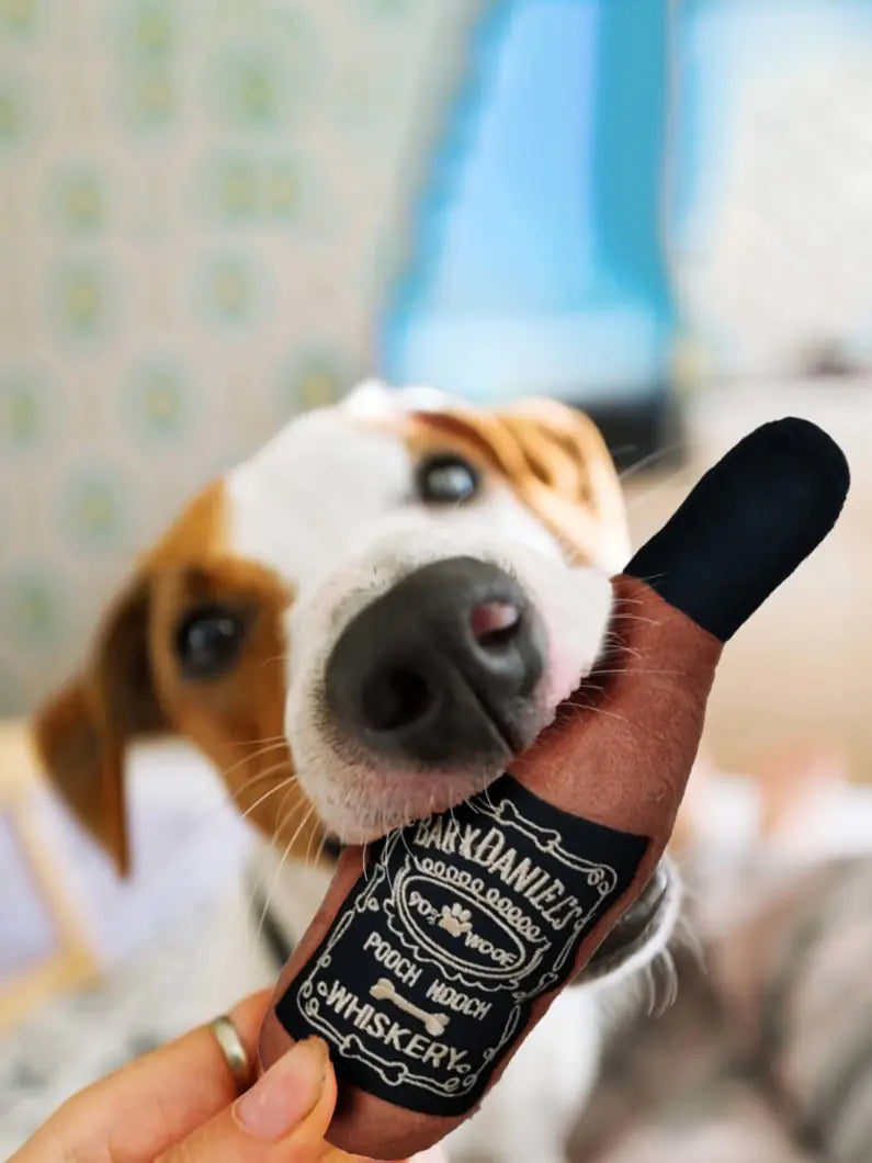Pet+ presents Pet Beverage | Dog and Cat Toy | Whiskey | Beer | Champagne | Latte | Perfume