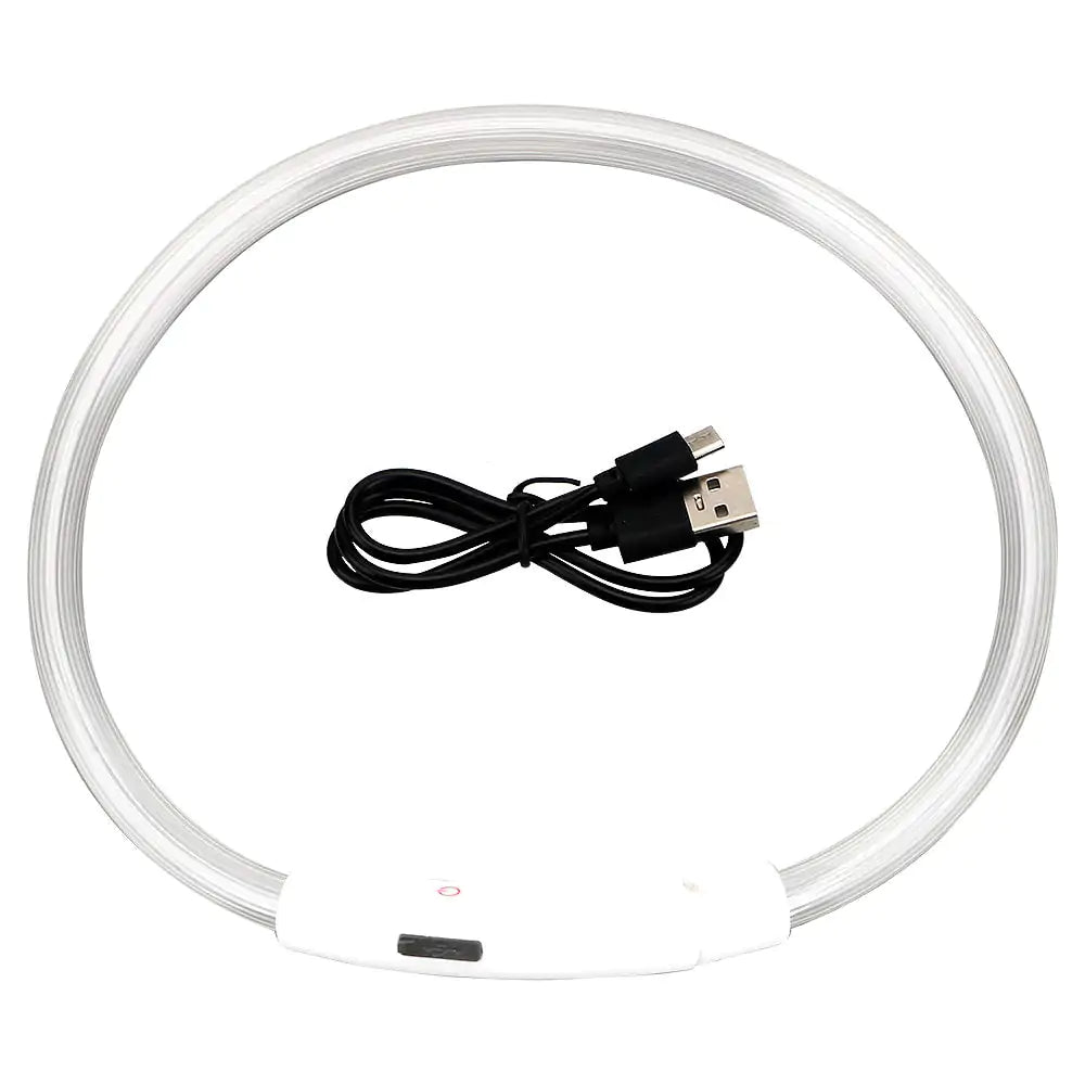 Pet+ presents LED Dog Collars | Pet Accessories | Waterproof Dog Collar