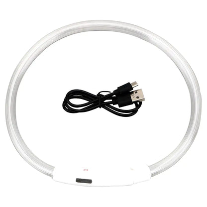 Pet+ presents LED Dog Collars | Pet Accessories | Waterproof Dog Collar