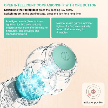 Pet+ presents Smart Rolling Ball 2.0 | Cat and Dog Toys | Auto Rolling Ball | Self Moving Ball | Pet Accessories