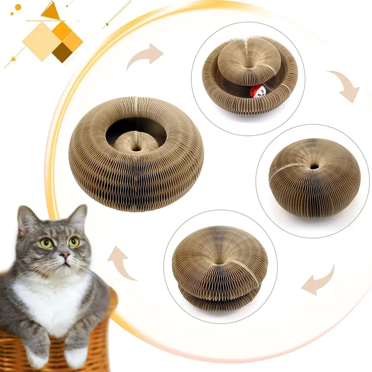 Pet+ presents Cat Scratch Multi Toy | Cat Toys