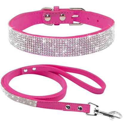 Pet+ presents Exclusive Leather Collar & Leash Combo | Pet Accessories | Pet Fashion