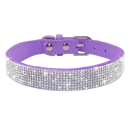 Pet+ presents Leather Collars for small pets | Pet Collars | Pet Fashion