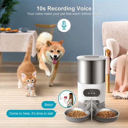Pet+ presents Smart Wi-Fi Pet Feeder | Single Feeder | Double Feeder | Button and App (Android and IOS) Operated | For Dogs and Cats