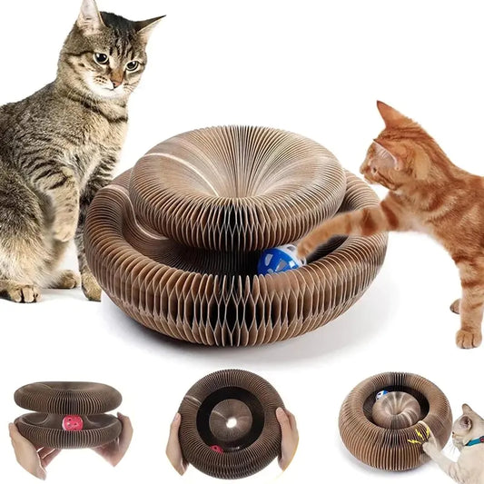 Pet+ presents Cat Scratch Multi Toy | Cat Toys