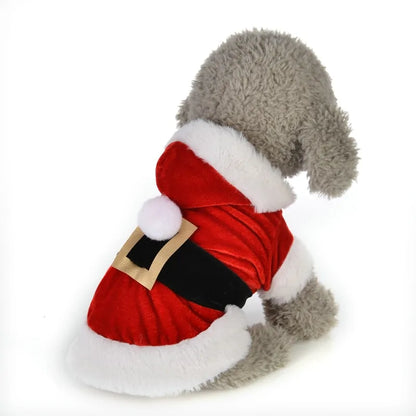 Pet+ presents Santa Pet Outfit | Pet Apparel | Pet Fashion | Pet Clothing