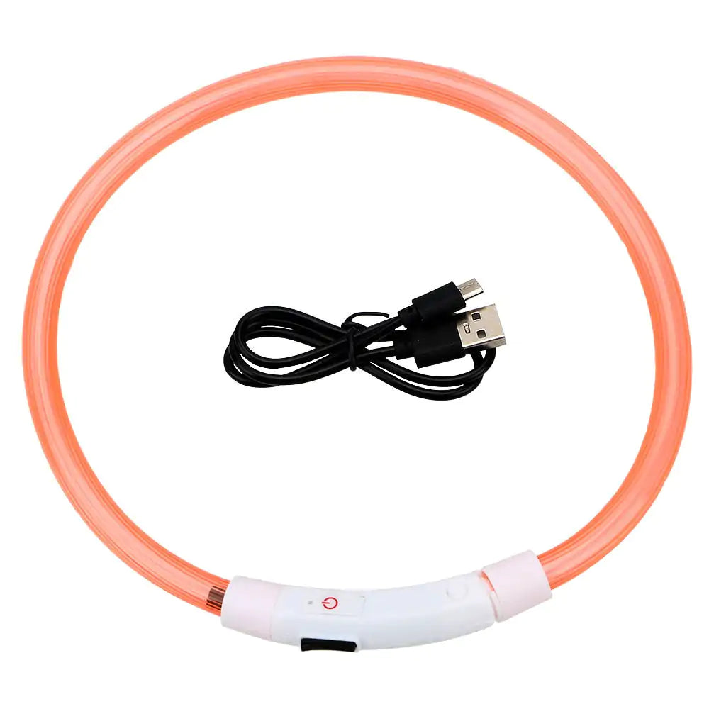 Pet+ presents LED Dog Collars | Pet Accessories | Waterproof Dog Collar