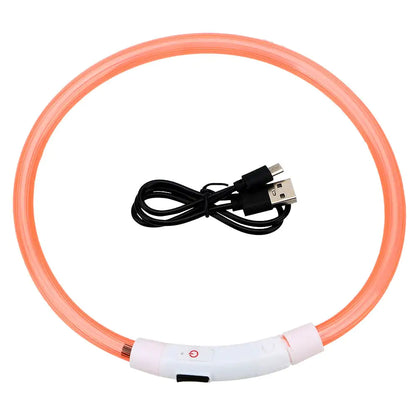 Pet+ presents LED Dog Collars | Pet Accessories | Waterproof Dog Collar