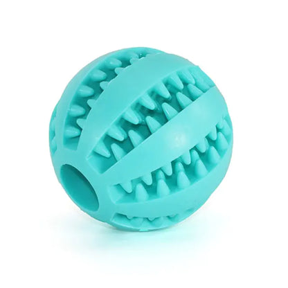 Pet+ presents Rubber Balls | Interactive Chewing Toys