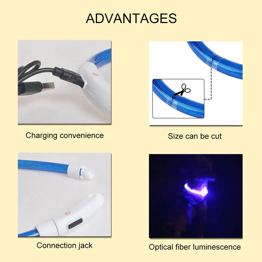 Pet+ presents LED Dog Collars | Pet Accessories | Waterproof Dog Collar