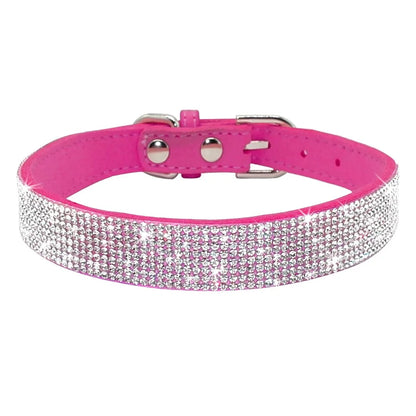 Pet+ presents Leather Collars for small pets | Pet Collars | Pet Fashion