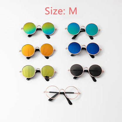 Pet+ presents Dog Sunglasses | Pet Accessories | Pet Fashion | Dog Fashion