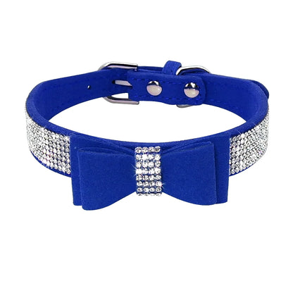 Pet+ presents Leather Collars for small pets | Pet Collars | Pet Fashion
