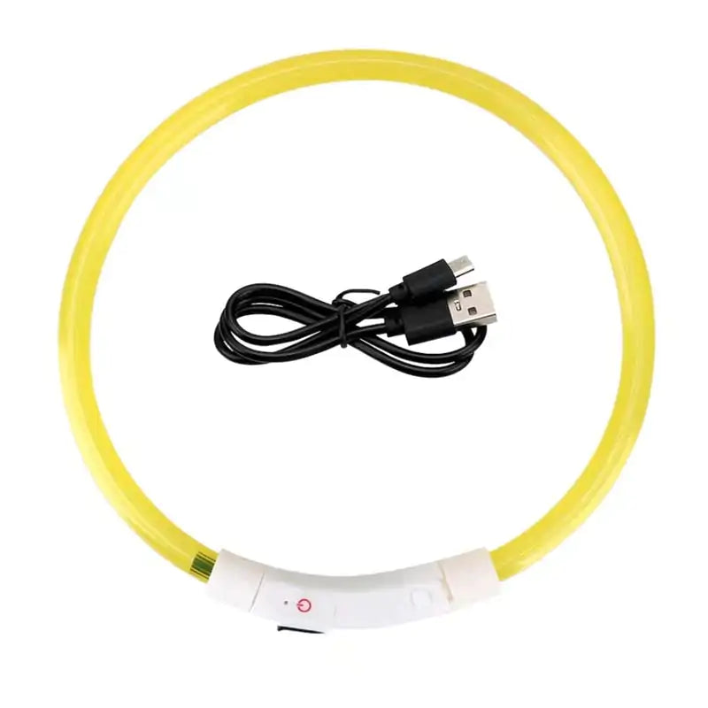 Pet+ presents LED Dog Collars | Pet Accessories | Waterproof Dog Collar